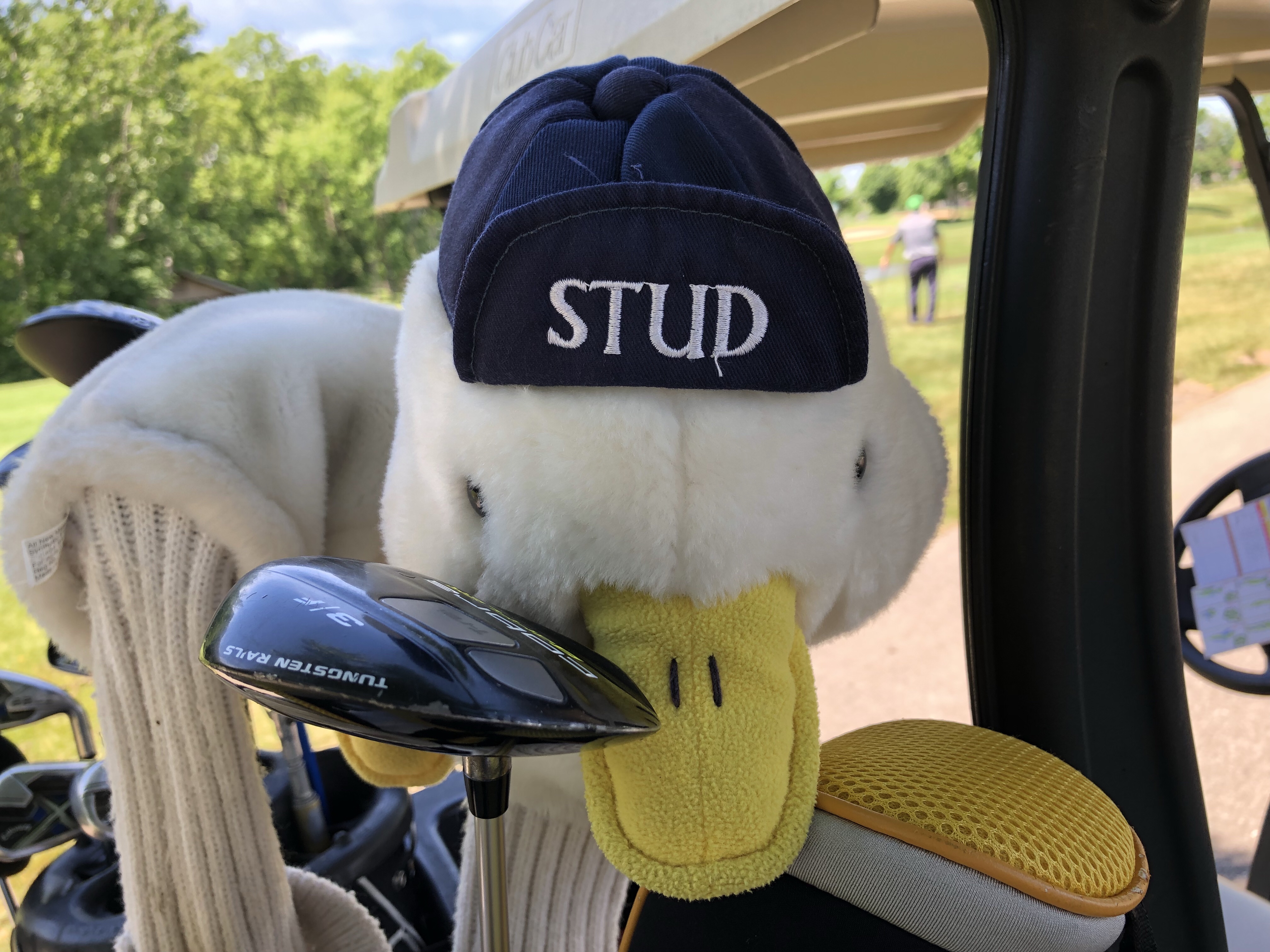 Stud or Dud? – Nick Momrik
