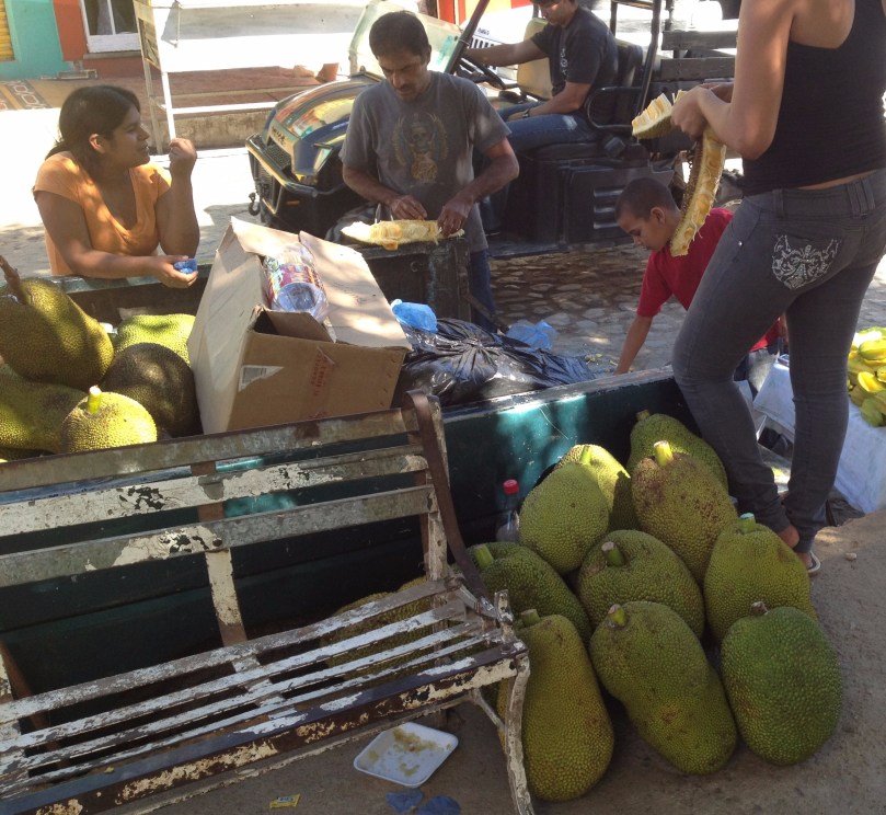 mexico-jackfruit.jpg